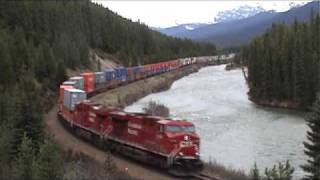 Trains & a black bear