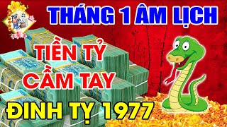 THÁNG 1 ÂL TUỔI ĐINH TỴ 1977, ĐƯỢC ƠN TRÊN CAO CHIẾU, VẬN ĐỎ HƠN SON, TIỀN BẠC ÙN ÙN ĐỔ VỀ