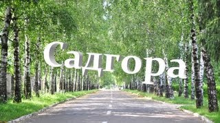 Садгора 2013