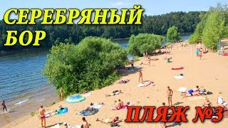 СЕРЕБРЯНЫЙ БОР - ПЛЯЖ №3 | ГДЕ ИСКУПАТЬСЯ В МОСКВЕ | ПЛЯЖИ МОСКВЫ 2019 | ОТДЫХ В МОСКВЕ