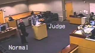 The ending will shock you / part 2