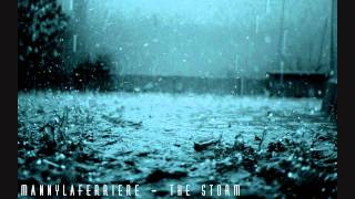 MannyLaferriere - The storm(dNb Merry Christmas!)