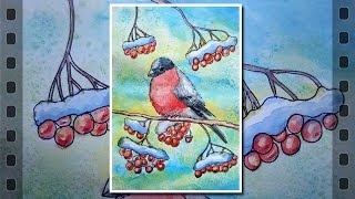 Paint card for New year and Christmas with watercolor, liner and salt. Winter, bullfinch on a Rowan