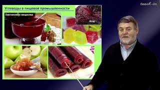 Чуб В.В. - Молекулы в пищевых цепях: от растений до человека - 2. Углеводы