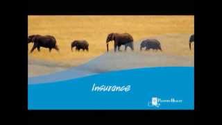 Travel Health Tips: Travel Insurance