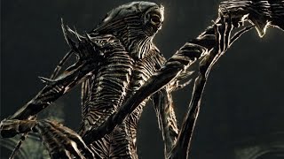 Dark Souls 2 - All Bosses [Hitless]
