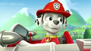 Paw Patrol Party racers Marshall / Щенячий патруль на русском гонки с Маршалом