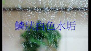 鑽石水垢清潔海綿