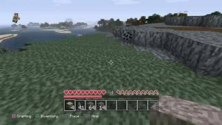 Minecraft Lolicon