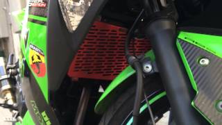 2013 Kawasaki Ninja 300 radiator cover