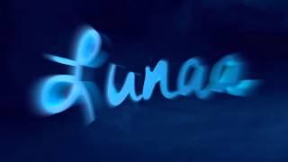 Test Intro // By Me
