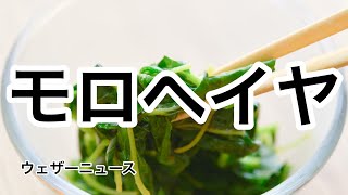 王様の食べ物・モロヘイヤ