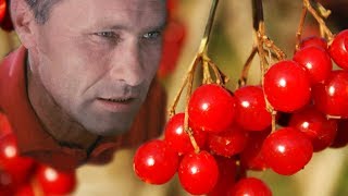 КАЛИНА КРАСНАЯ - конкурс песни среди осуждённых. Архангельск 2009 г.