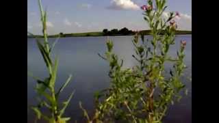 Нудиский пляж. Russian nudisti beach