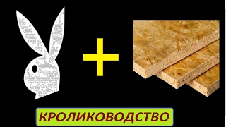Кролики И ОСБ плита