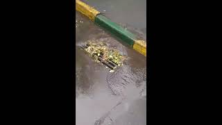 Weather in Moscow on August 23, 2017
