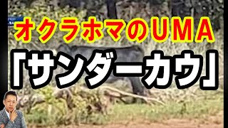【お便り】オクラホマのＵＭＡ「サンダーカウ」登場　ATL5th341