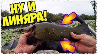 ?ОСЕННЯЯ ЛОВЛЯ ЛИНЯ И КАРАСЯ НА УДОЧКУ / РЕКА ПСЁЛ?