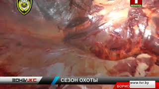 Пошли на зайца, а подстрелили лося. Зона Х
