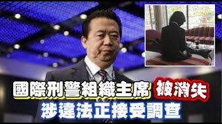 國際刑警組織主席在北京被失蹤　中國證實：涉嫌違法正接受調查 | 台灣蘋果日報