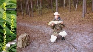 Szczupaki z Trzcinowisk | Jezioro Dąbie | Film Wędkarski | Great Pike's Underwater Cam