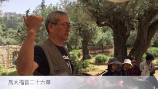 【以色列特輯：客西馬尼園】