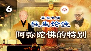 阿弥陀佛的特别?《往生论注》讲要 (第06集) 净本法师 主讲