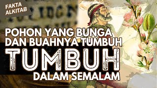 #FaktaAlkitab | POHON YANG SERING DIBAHAS ALKITAB, MASIH ADA SAMPAI SEKARANG !!!