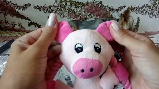 Распаковка посылок из Китая с AliExpress для йоркширского терьера