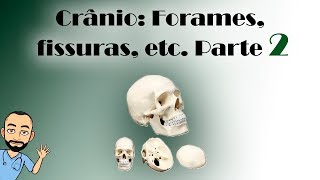 Sistema Esquelético - Crânio: Forames, fissuras e etc.. | PARTE 2/2