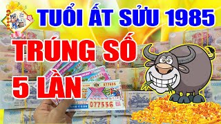 TỬ VI TUỔI ẤT SỬU 1985, HƯỞNG TRỌN LỘC TRỜI, TIỀN BẠC CHẬT NHÀ, CÀNG GIÀ CÀNG GIÀU SANG PHÚ QUÝ