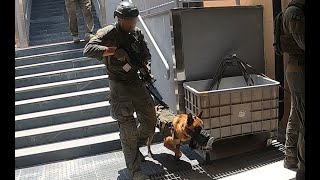 Полиция Израиля опубликовало видеозапись операции по розыску и аресту палестинский операция в Шхеме.