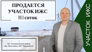 Купить земельный участок СПб | Купить участок в Ломоносовском районе | КП Подсолнухи