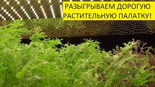 РОЗЫГРЫШ! ПРИЗ ОТ ФИРМЫ "МАРС ГИДРО". 