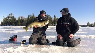 Ontario Perch, Walleye, and Lake Trout - In-Depth Outdoors TV Season 11 Episode 18