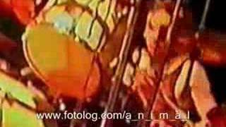 SOULFLY feat A.N.I.M.A.L. - Time for Livin'