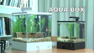 AA Aquarium: Aqua Box with HPLED (TVC)