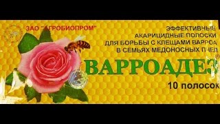 Обработка от клеща варроадез
