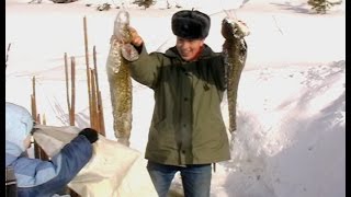 Рыбалка на крайнем севере | Рыбалка с помощью ловушки - морда