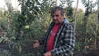 Четвёртый выезд на консультацию в Днепропетровскую обл.