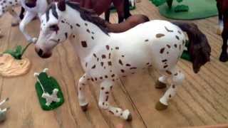 Только ли schleich'и удостоины жить в нашем КСК???