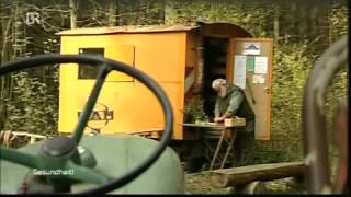 Hagebutte als Heilkraut