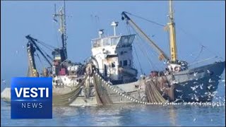 Ukrainian Piracy Prompts Creation of Azov Task Force - Russia Will Keep Ships Safe From Raids