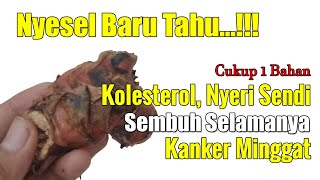 BARU TAHU... TERNYATA HANYA 1 BAHAN BISA MENGATASI NYERI SENDI DAN KOLESTEROL SAMPAI TUNTAS
