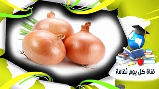 ما سبب نزول الدموع عند تقطيع البصل ؟ خمس طرق لتقطيع البصل من دون بكاء