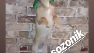 Новые инстаграм видео от от Настя Созоник nastyasozonik face НОВЫЙ ВЫПУСК