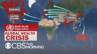 Doctor weighs in on global coronavirus fears after WHO calls emergency