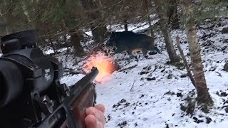 Охота #200 сборник лучших моментов на охоте