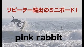 【千葉北】片貝漁港オンショアでミニボード『PinkRabbit』５’７