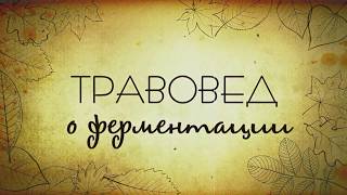 Травовед. О ферментации. Рассказывает Моряков Сергей Викторович